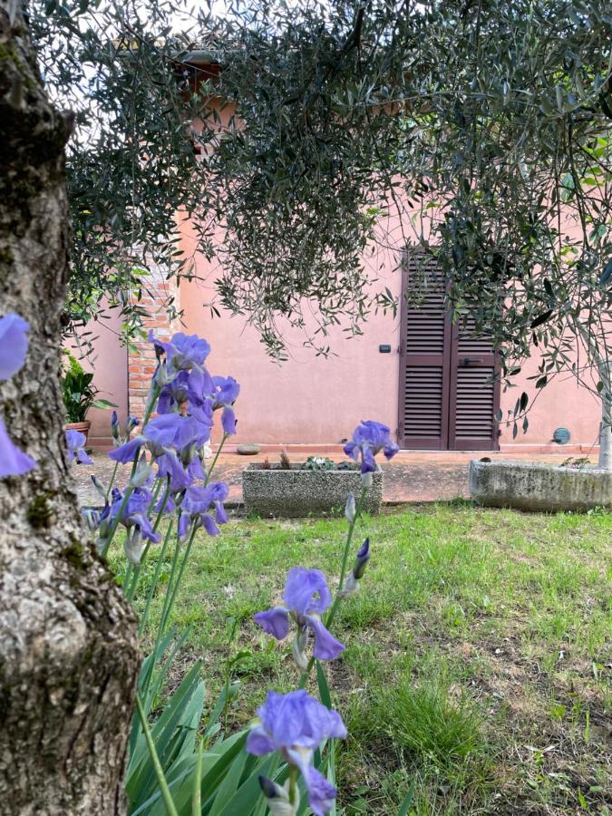 Agriturismo La Collina Siena Bagian luar foto