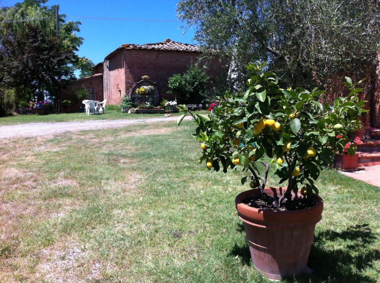 Agriturismo La Collina Siena Bagian luar foto