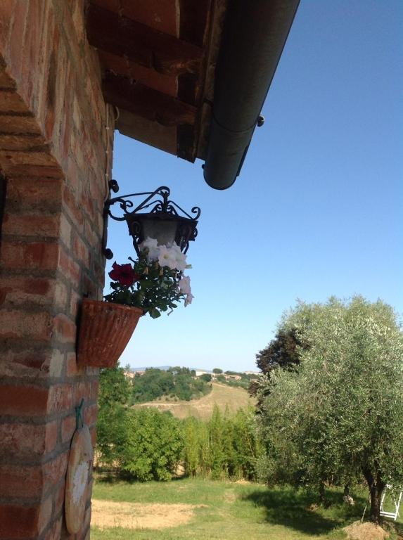 Agriturismo La Collina Siena Bagian luar foto